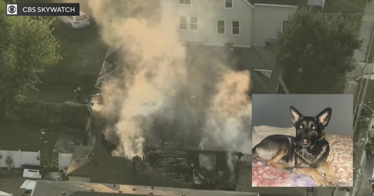 Blue Island house fire damages 4 buildings; 1 injured, dog missing 