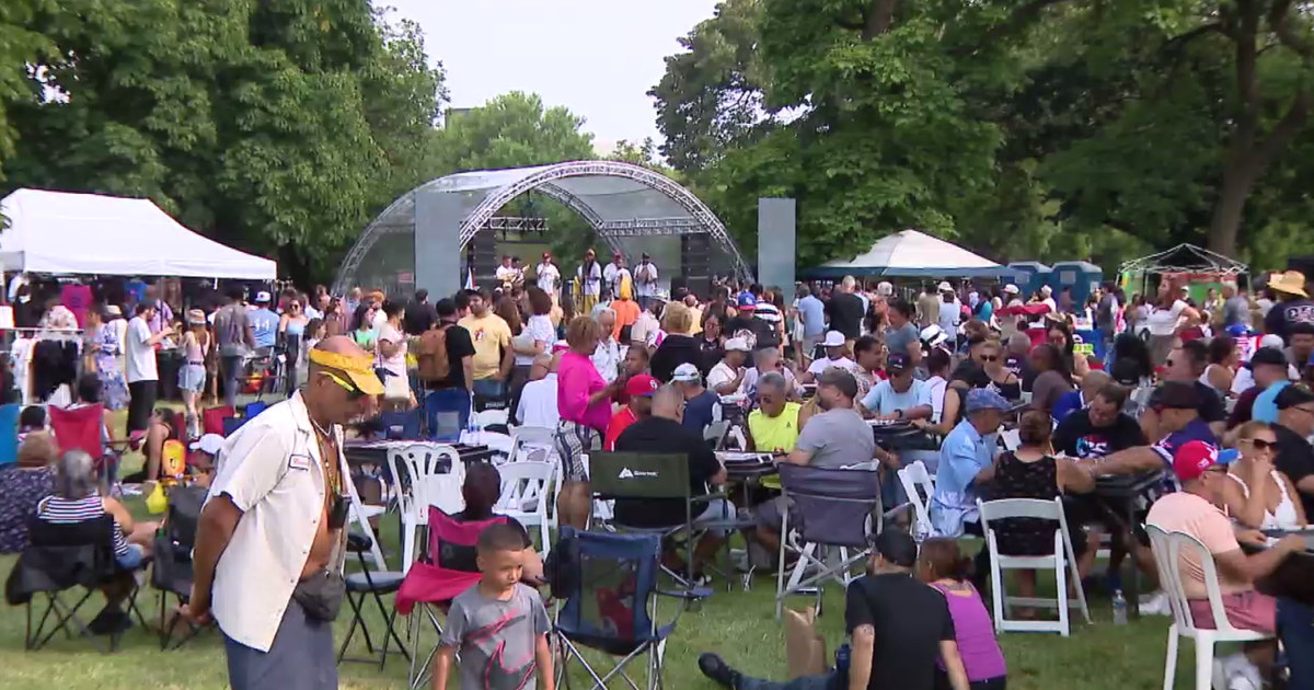 Record turnout at Barrio Arts Festival in Chicago after fears of potential ICE raids 