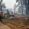 Arizona wildfire destroys Grand Canyon landmark, force park closures in certain spots