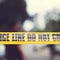 Vehicle plows into Los Angeles crowd, injuring more than 30 people