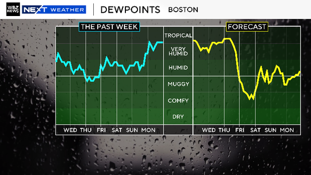 Dewpoints 