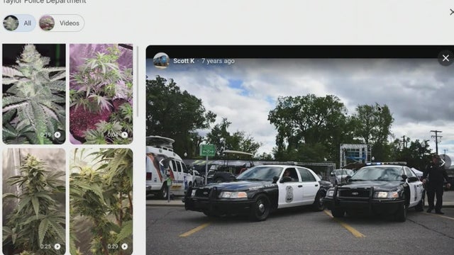 Google links Taylor Police Department to marijuana photos 