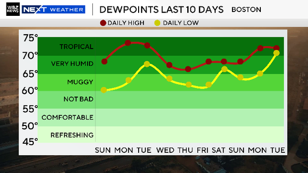 Dewpoints 