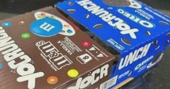 YoCrunch yogurt products recalled over potential choking risk