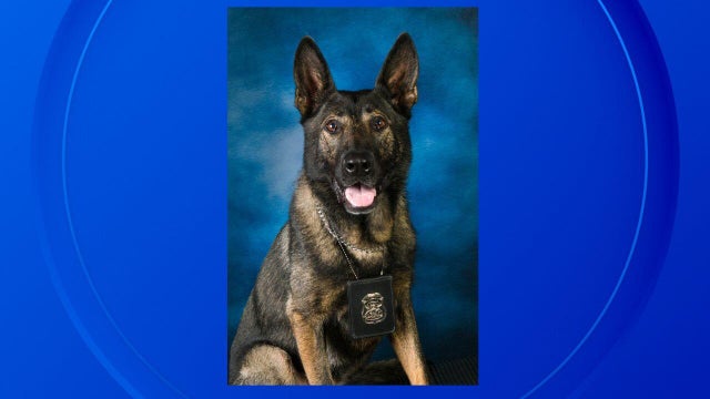 k-9-chief-huron-township-slider.jpg 