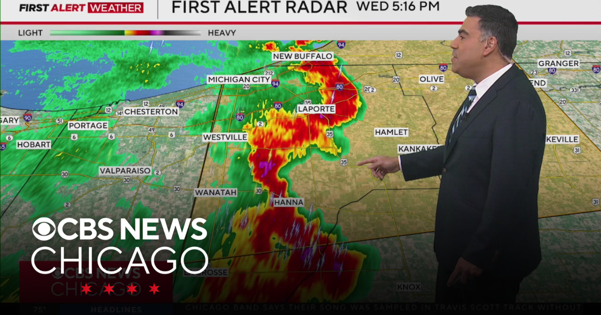 Storms leave behind damage in Chicago area - CBS Chicago