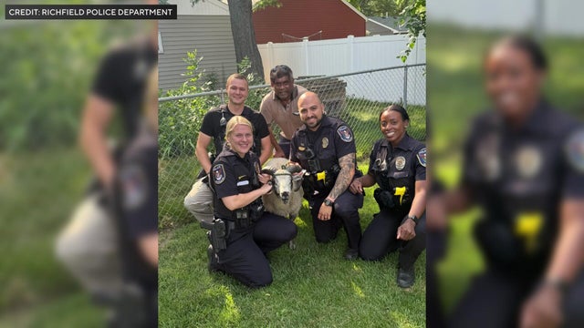 10p-pkg-richfield-runaway-ram-wcco89ja-00-00-5126.jpg 