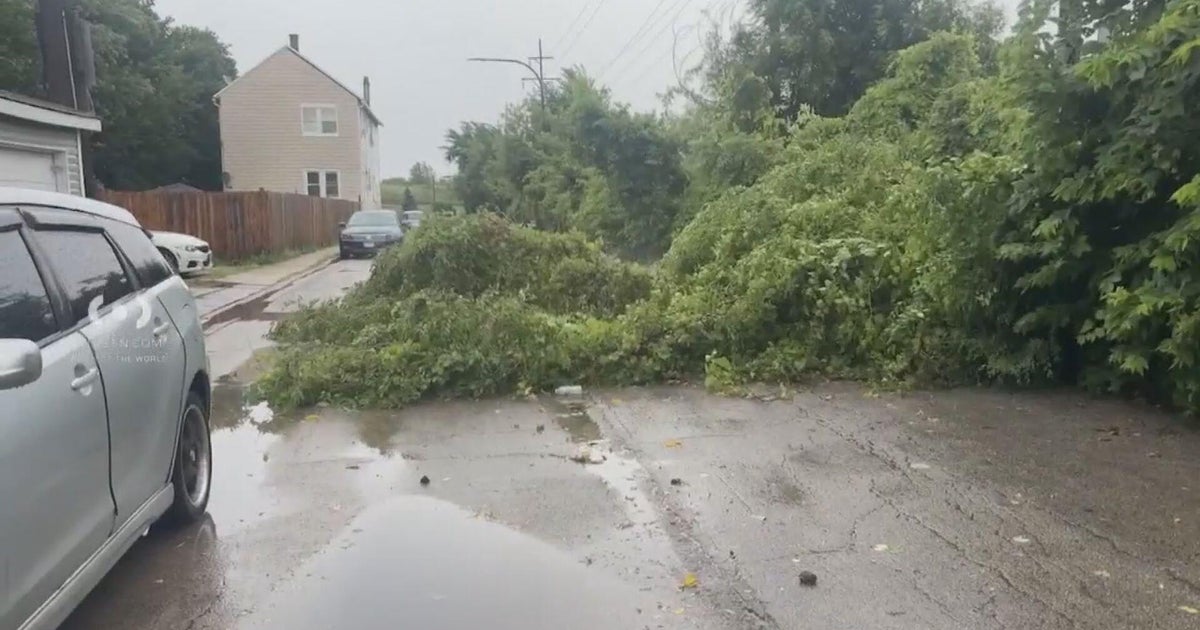 Severe storms leave downed trees, power outages, ground stops in wake 