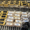 $153 million of cocaine found hidden in banana shipment