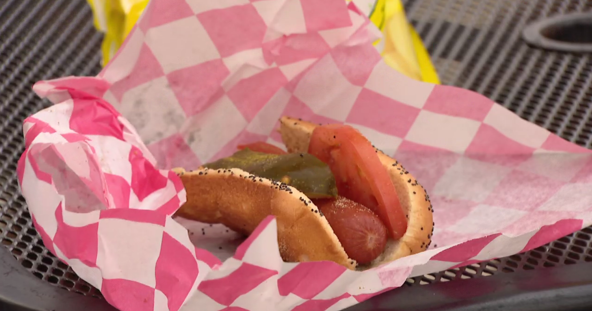 Chicagoans chow down to celebrate National Hot Dog Day 