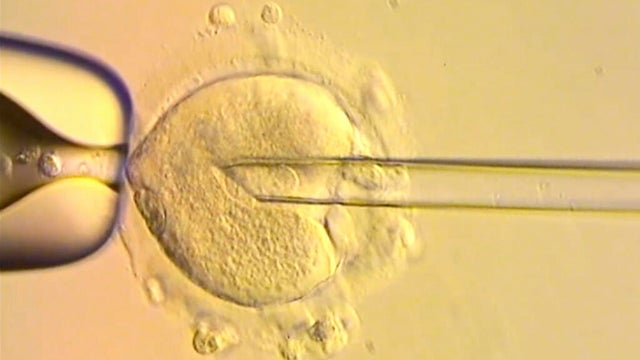Three Person Baby 