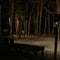 1 dead, 13 hurt after lightning strike in Jackson Township, New Jersey