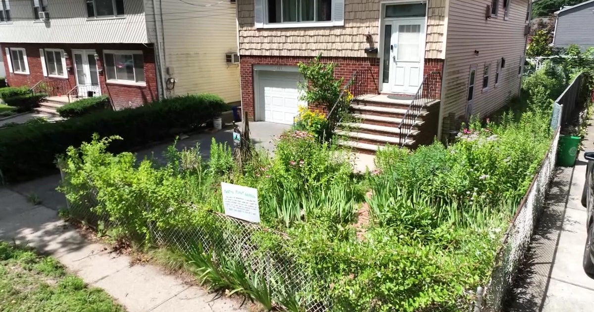 Village tries to fine woman who replaced lawn with native plants 