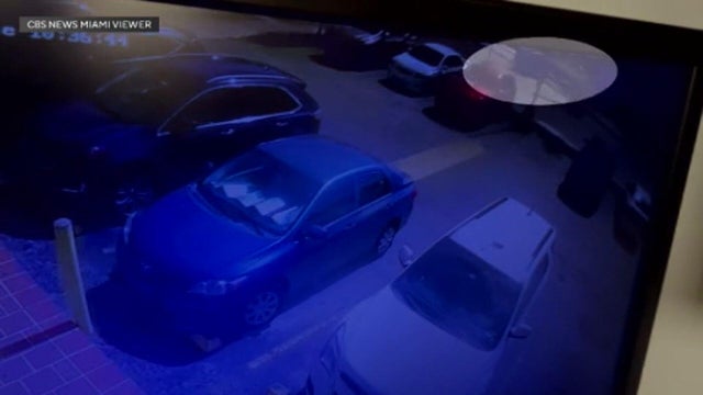 west-dade-murder-suicide-crash-7-18-2025.jpg 