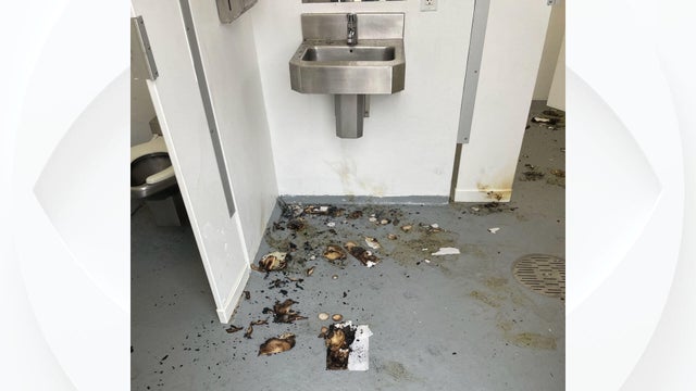 bathroom-vandalism-wellington-copy.jpg 