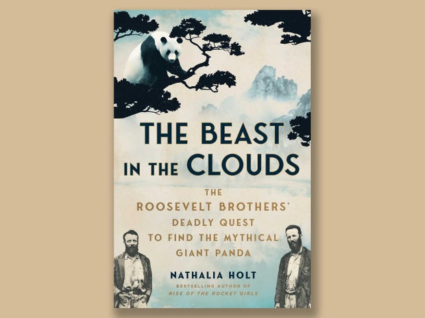 beast-in-the-clouds-atria-one-signal-1280.jpg