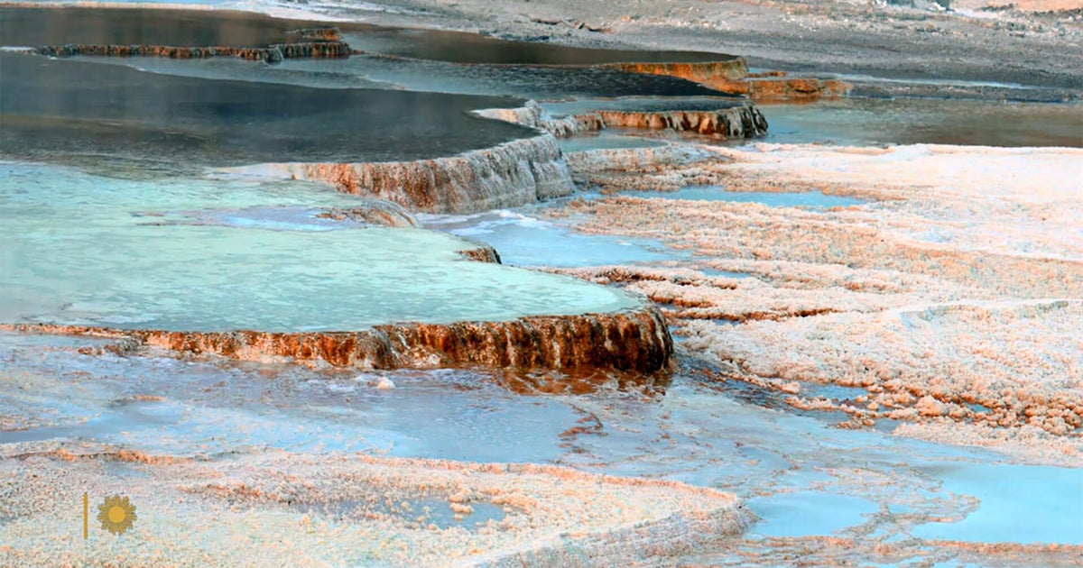 Nature: Mammoth Hot Springs at Yellowstone