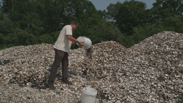 c5-schechter-eoa-oyster-rehab-072125-transfer-frame-2343.jpg 