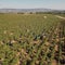 3 jailed for allegedly treating Champagne harvest workers "like slaves"