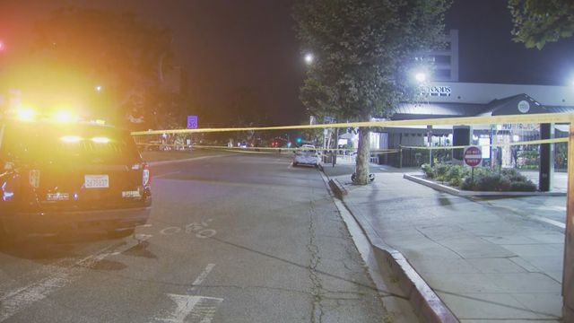 brentwood-deadly-stabbing.png 