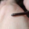 World's smallest-known snake rediscovered in Barbados after nearly 20 years