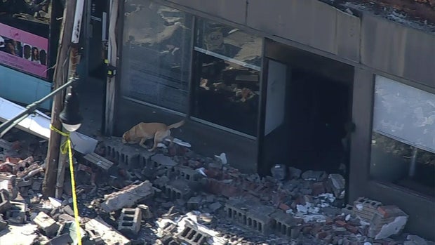 A dog checks the rubble from a facade collapse in Queens for victims on July 23, 2025. 