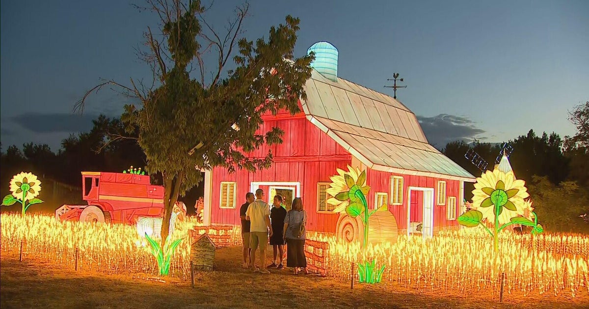 Chinese lantern festival lighting up Denver park 