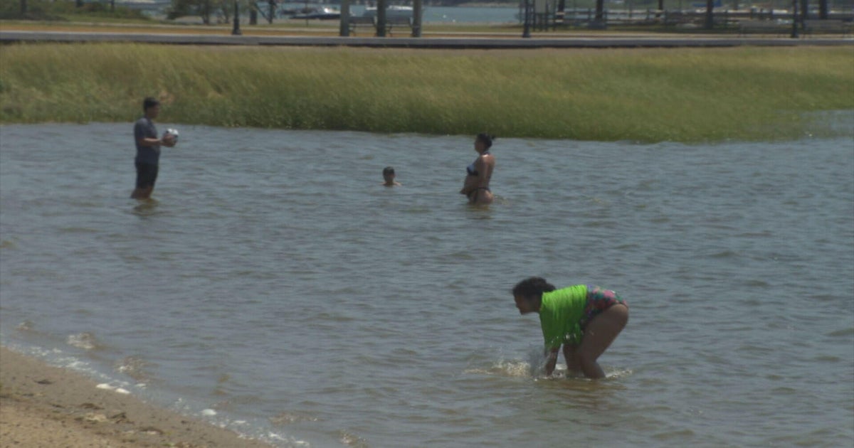 Dorchester beach reopens following closure due to high bacteria levels 