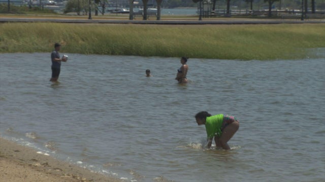 closed-beaches-5p-pkg-autocopy-01-frame-2938.jpg 