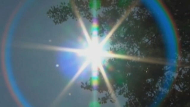 sunny.jpg 