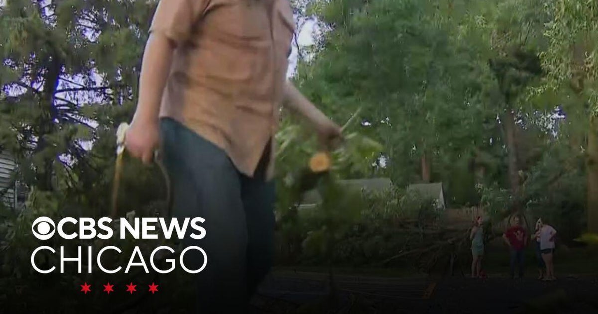 Storms take down trees and power lines, damage buildings in Chicago ...