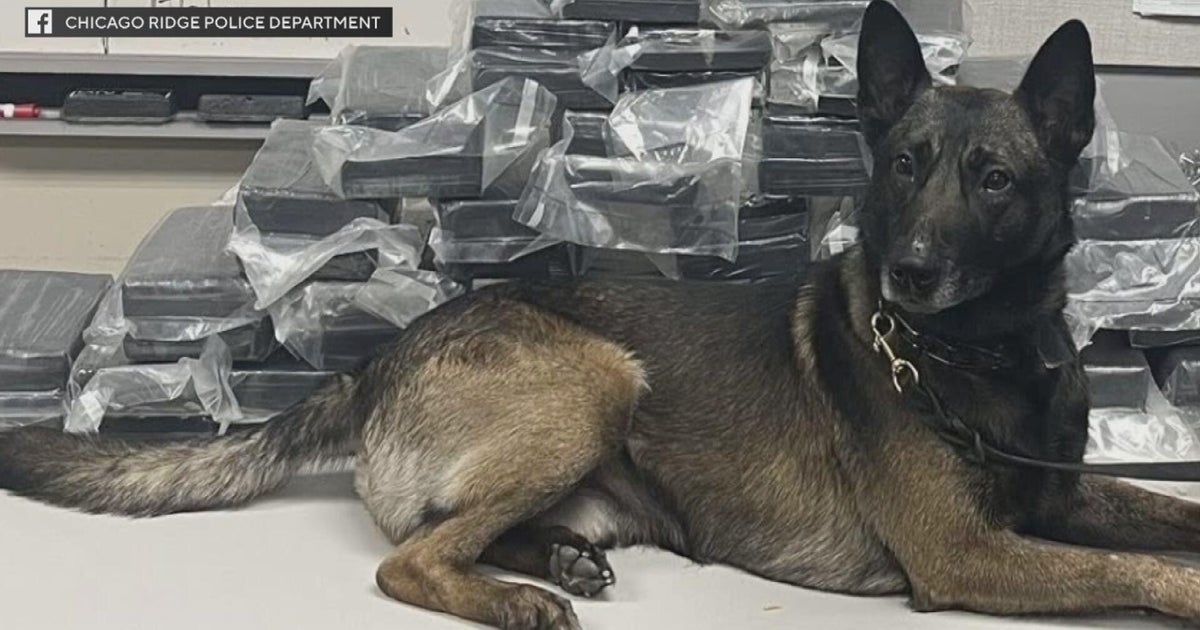 K-9 sniffs out $1 million in cocaine in Chicago Ridge drug bust 