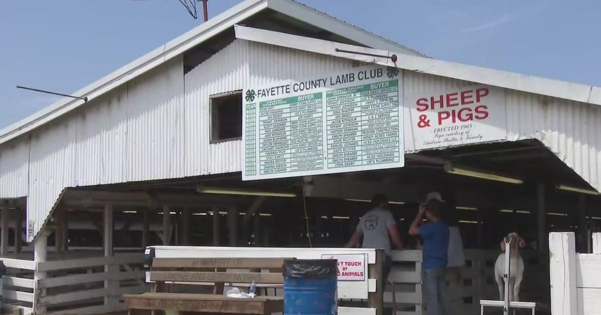 A tour of the food, fun and animals at the Fayette County Fair 