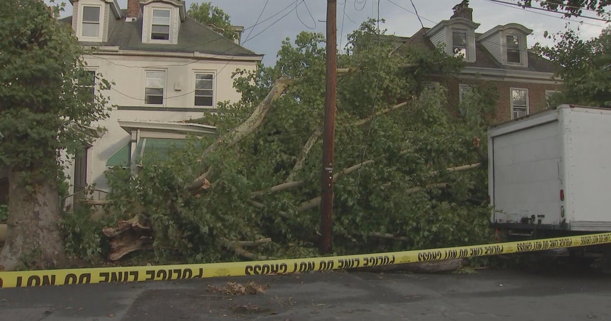 Neighbors are grateful no one is hurt after massive tree falls on of two homes in Trenton 