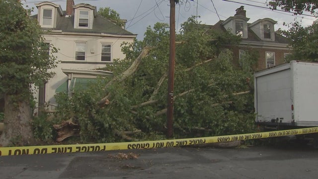 23pkg-kc-trenton-tree-onto-home-transfer-frame-726.jpg 