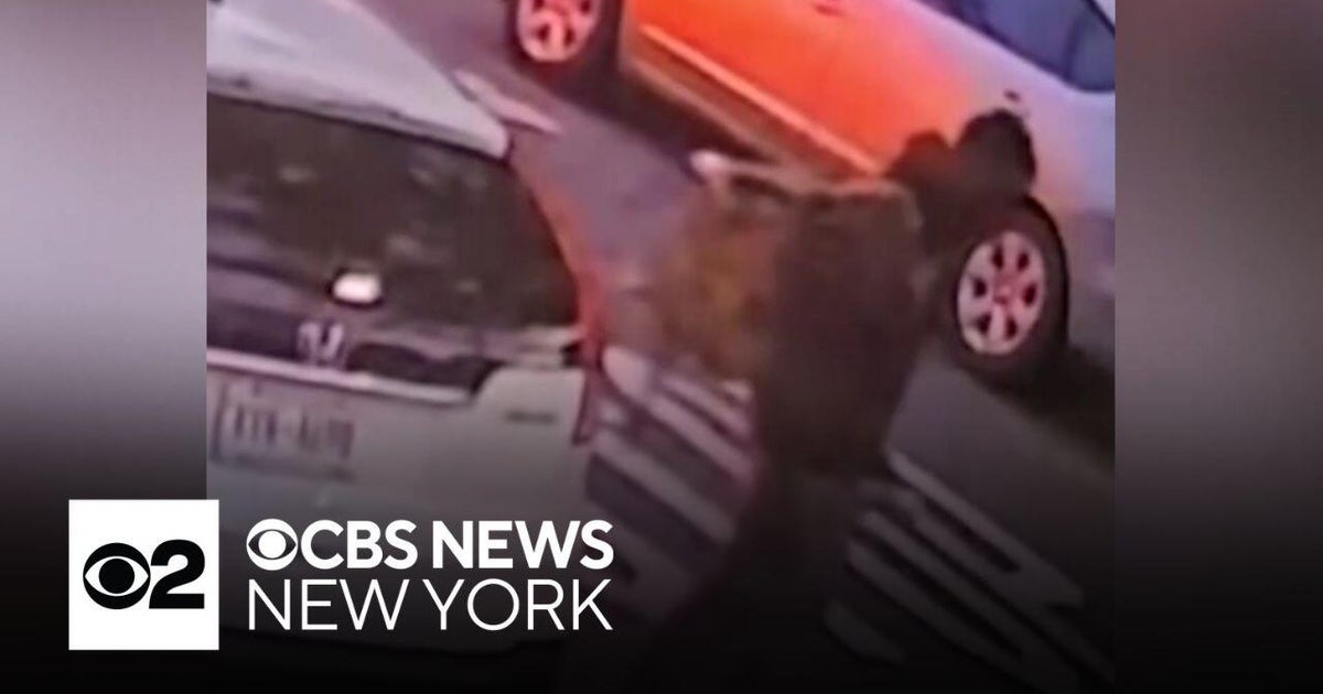 Search continues for man accused of setting dog on fire in Queens - CBS ...