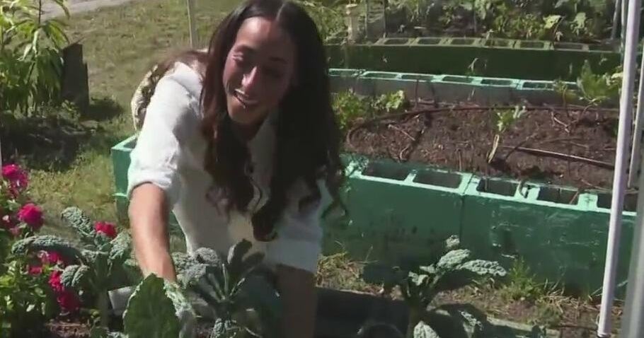 From concrete to collards: Urban garden near Little Haiti is changing lives