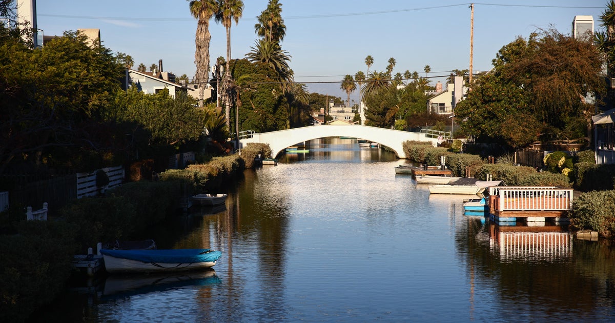 Venice pet owners on edge after several unexplained dog deaths in recent weeks 