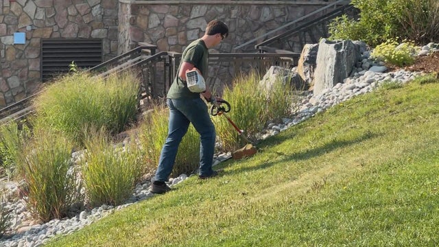 weedwhacker.jpg 