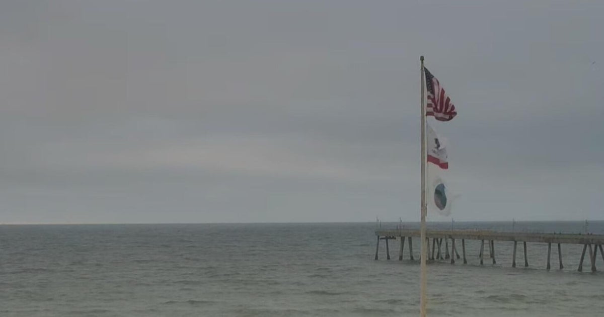 San francisco tsunami 12 5 24