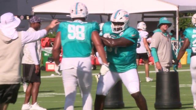 a-tz2-camp-dolphins-wforbxr6.jpg 