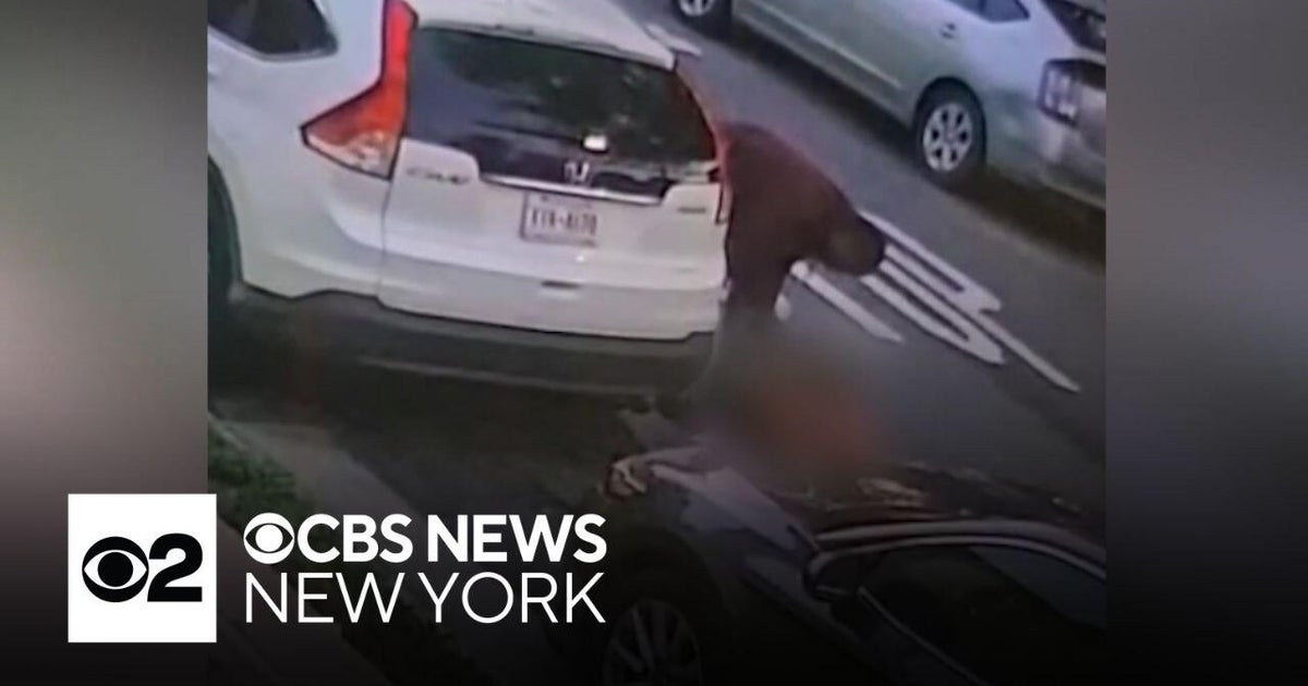 Queens man accused of killing dog, setting body on fire released from ...