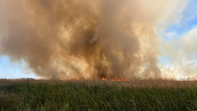 woodland-fire.jpg 