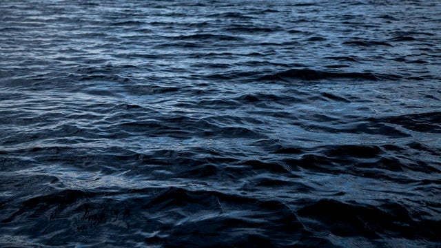 Dark Water 