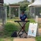 Meet the Texas boy playing music for shelter animals