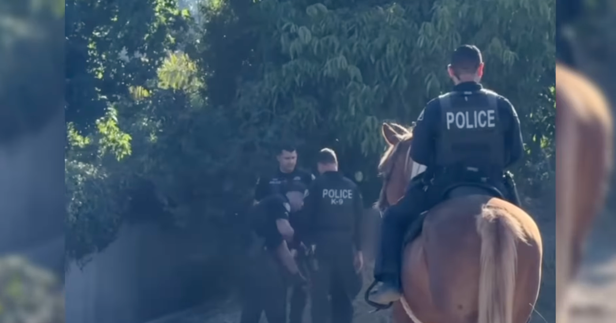 Upland police officer makes arrest after chasing hit-and-run suspect on pedestrian's horse 