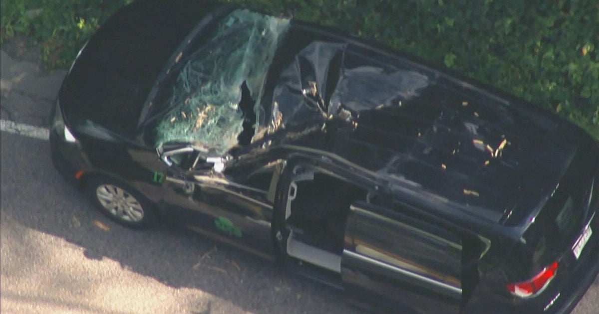 Driver injured after falling tree crushes car in Holliston 