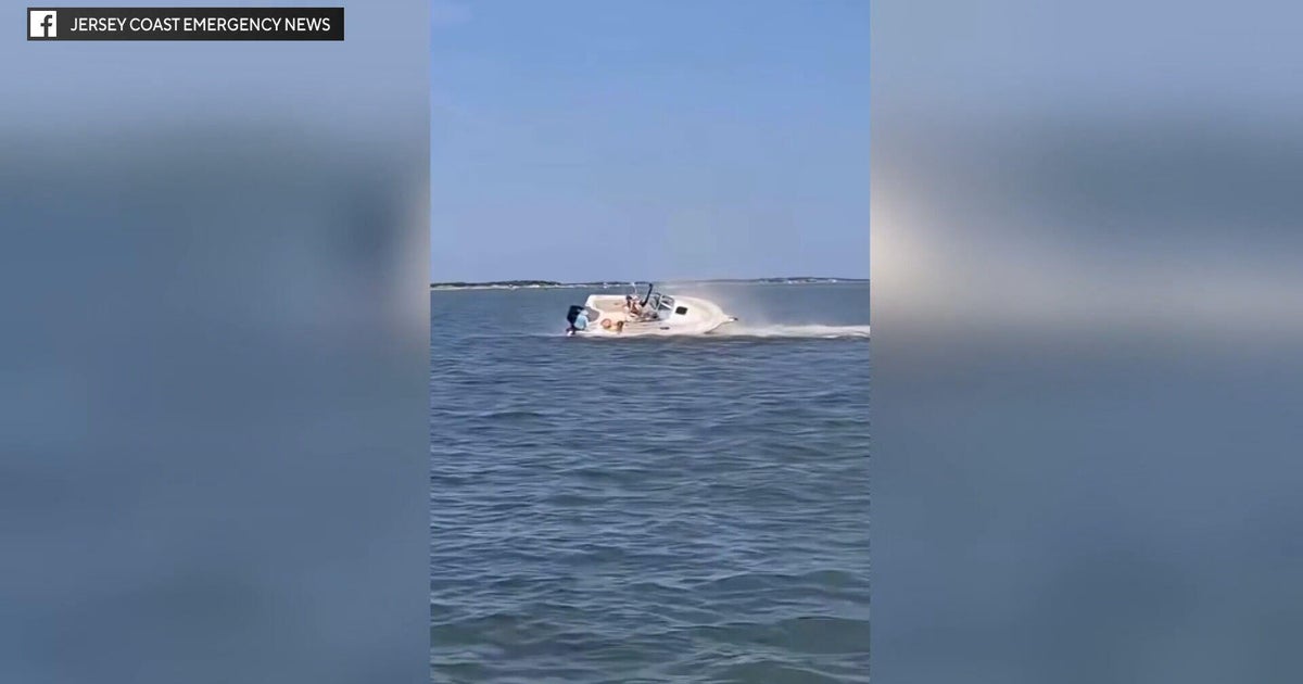 Whale dead, passenger sent flying off boat after collision in Barnegat Bay, New Jersey, officials say