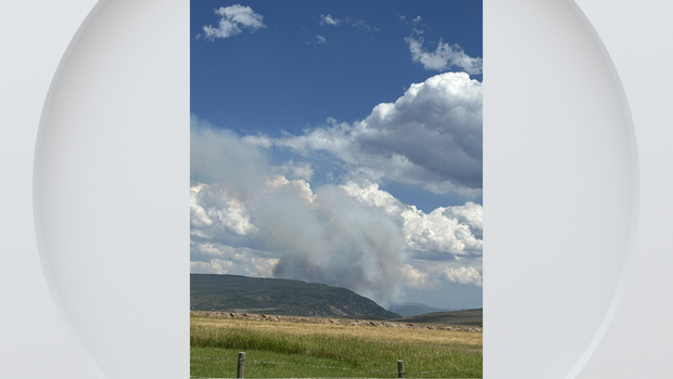Colorado Gov. Polis Declares Disaster Emergency for 600-Acre Elk Fire, Orders Evacuations