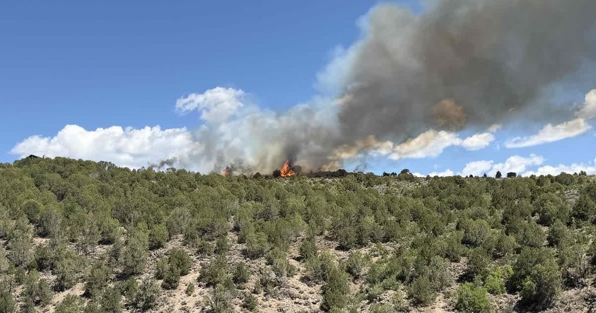 Evacuations ordered in area north of Carbondale as new wildfire sparks 
